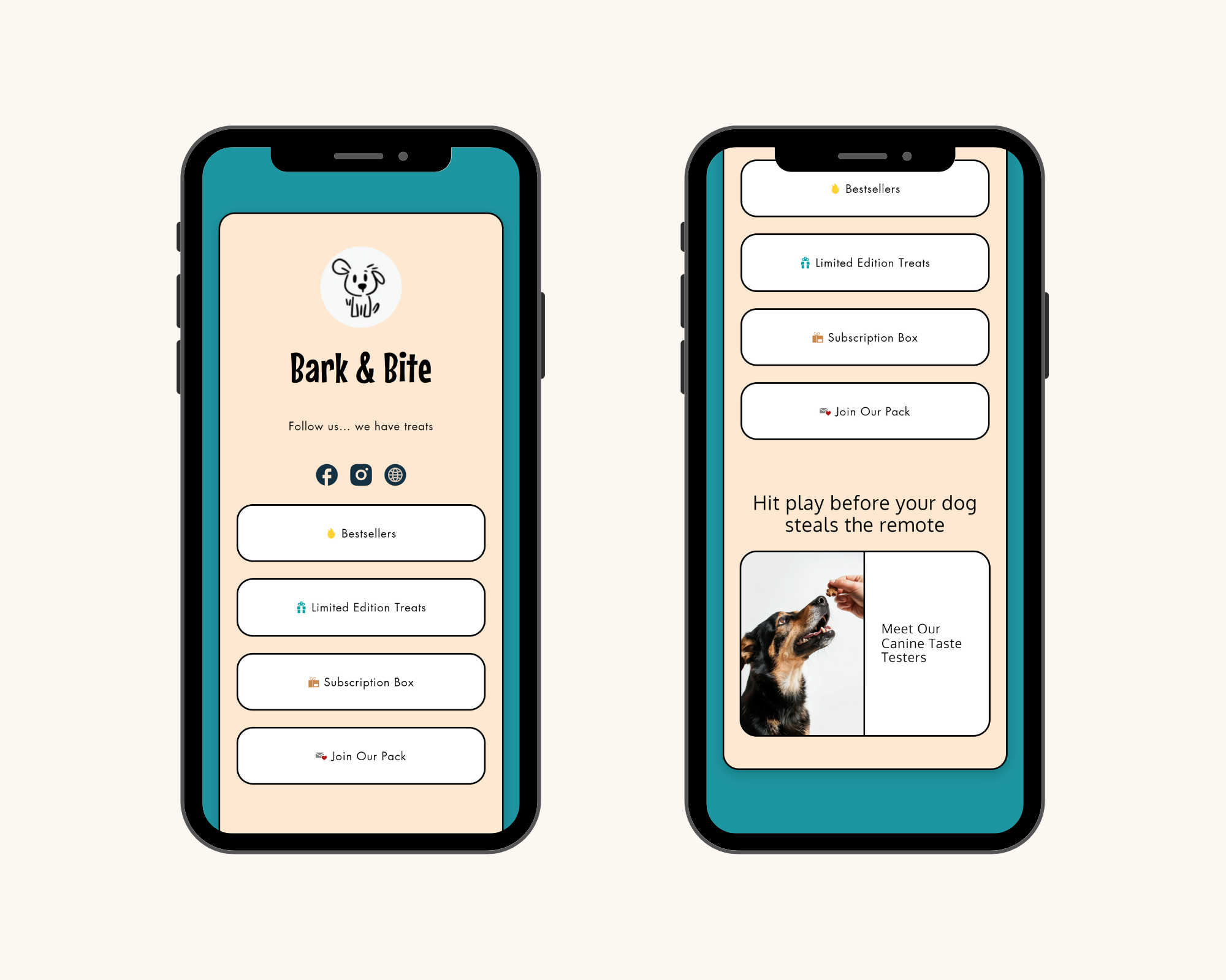 Social Links Section